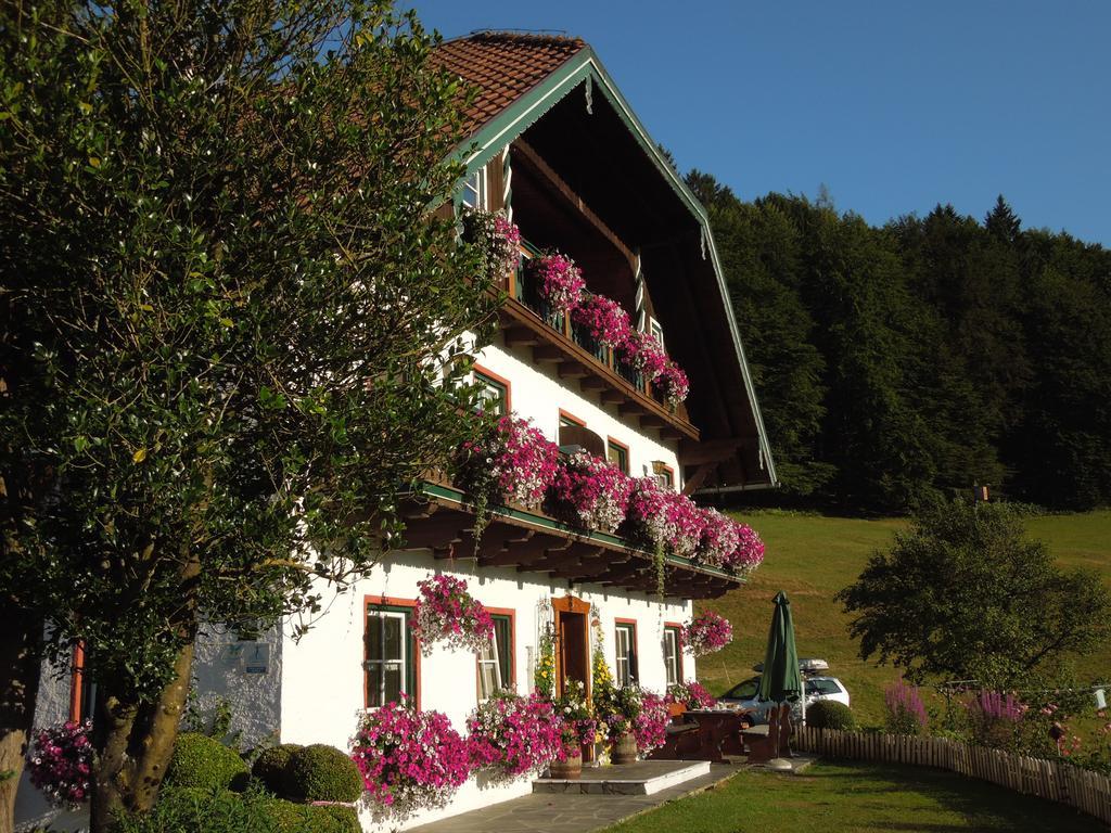 Wohlfuhlbauernhof Bambichlhof Villa Fuschl am See Exterior foto