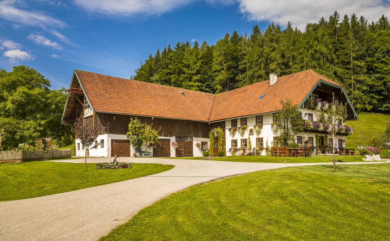 Wohlfuehlbauernhof Bambichlhof Villa Fuschl am See Exterior foto