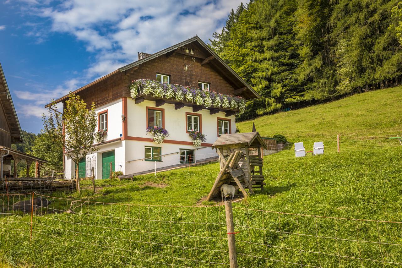 Wohlfuehlbauernhof Bambichlhof Villa Fuschl am See Exterior foto